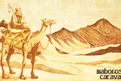 caravan015