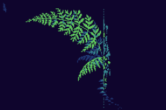 2023Theme002_ferns